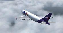 এয়ারবাস A310 মাল্টি লার্নিং FSX P3D 41