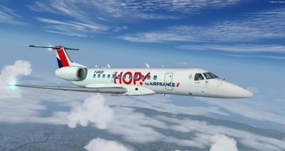 Embraer ERJ 135 Multi livrej FSX P3D 38