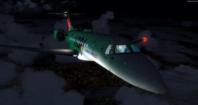 Embraer ERJ 135 Multi livrej FSX P3D 40